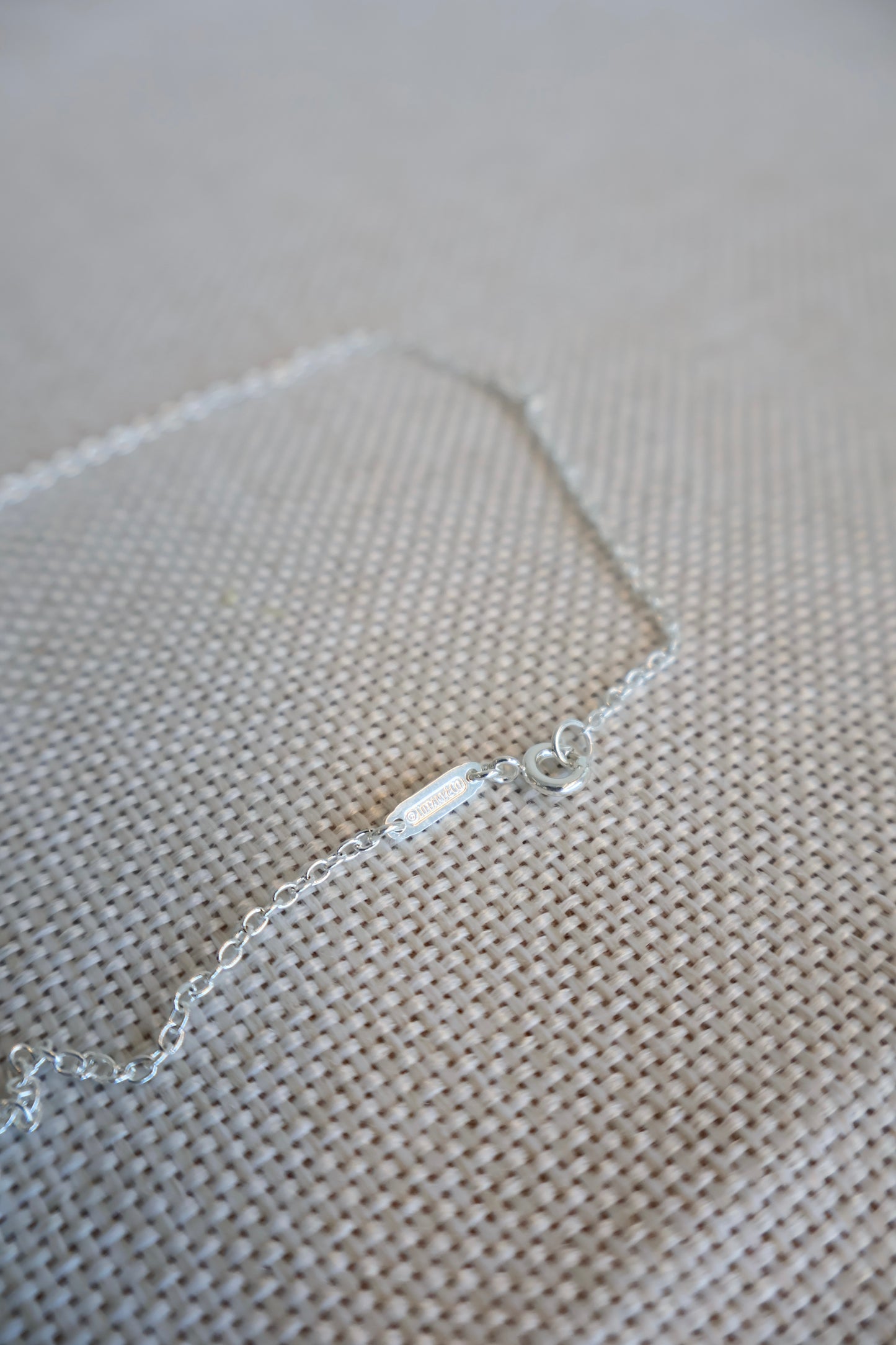 Tiffany & Co Silver Titanium Steel Necklace (Whatsapp for Price & Grade)