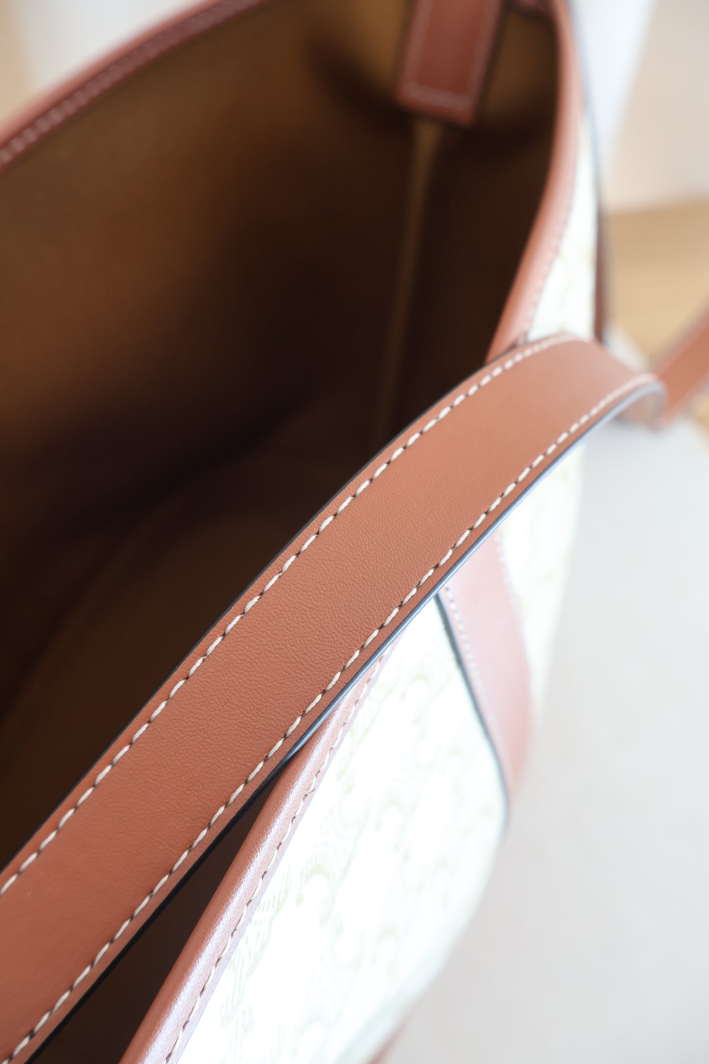 Celine Bucket Triomphe Canvas Ivory (Whatsapp for Price & Grade)