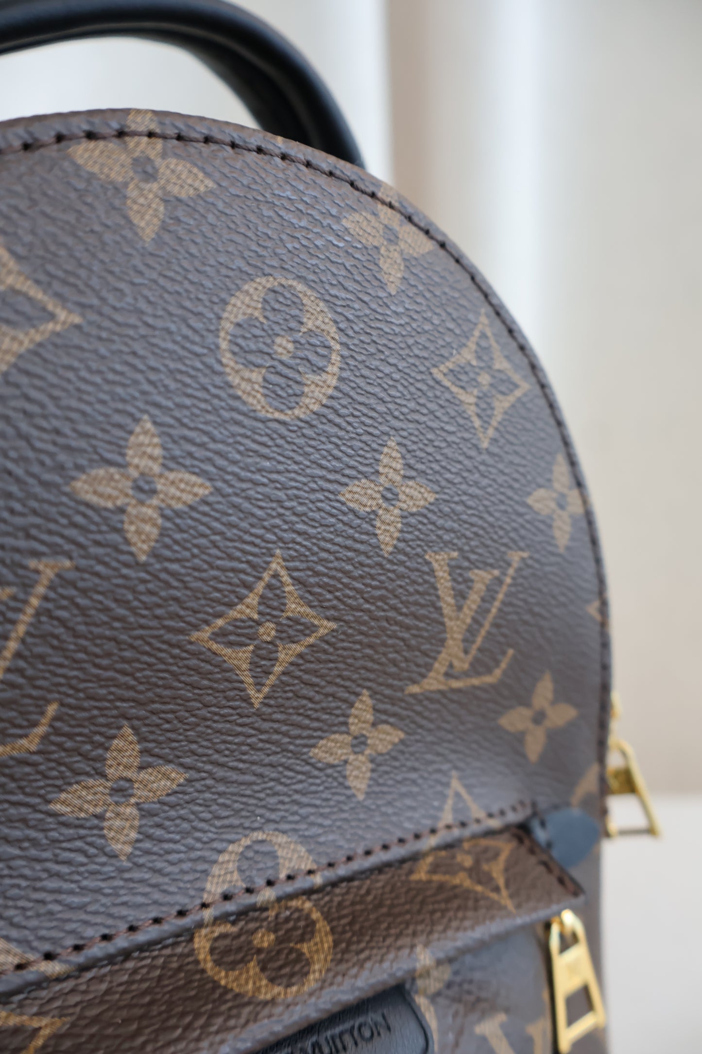 Louis Vuitton Palm Springs Backpack (Whatsapp for Price & Grade)