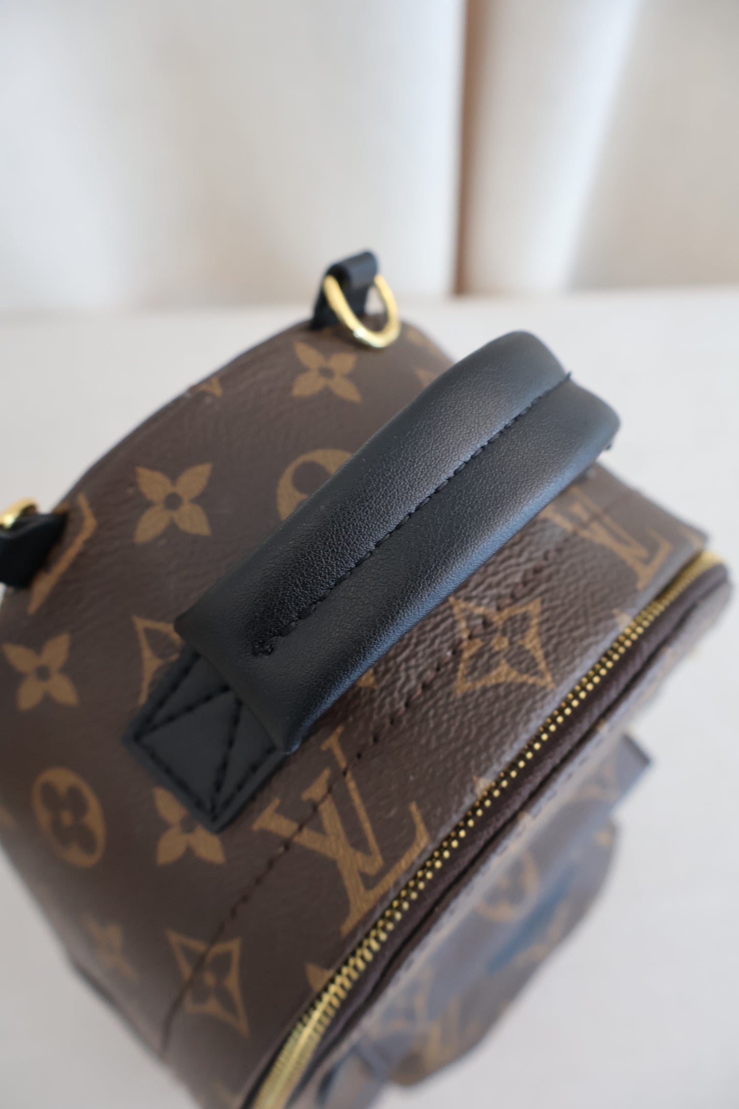 Louis Vuitton Palm Springs Backpack (Whatsapp for Price & Grade)