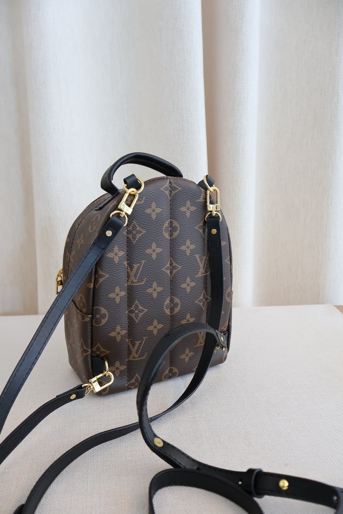 Louis Vuitton Palm Springs Backpack (Whatsapp for Price & Grade)