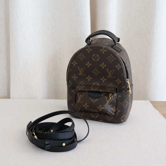 Louis Vuitton Palm Springs Backpack (Whatsapp for Price & Grade)